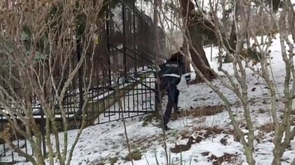 Bărbatul care a fost atacat de tigru la ZOO se află în stare foarte gravă